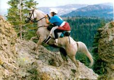 Endurance Saddles